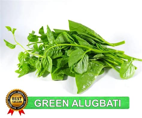 gloves seed in tagalog|Seed in Tagalog.